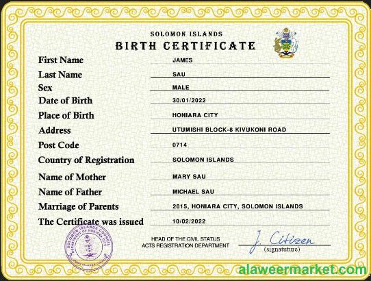 Solomon vital record birth certificate PSD template